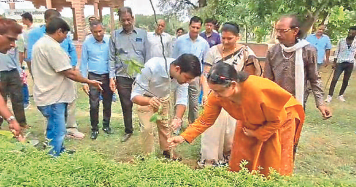 ‘Ek Ped Maa Ke Naam’: Plantation drive by JDA commences in Jodhpur